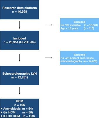 Automatic Identification of Patients With Unexplained Left Ventricular Hypertrophy in Electronic Health Record Data to Improve Targeted Treatment and Family Screening